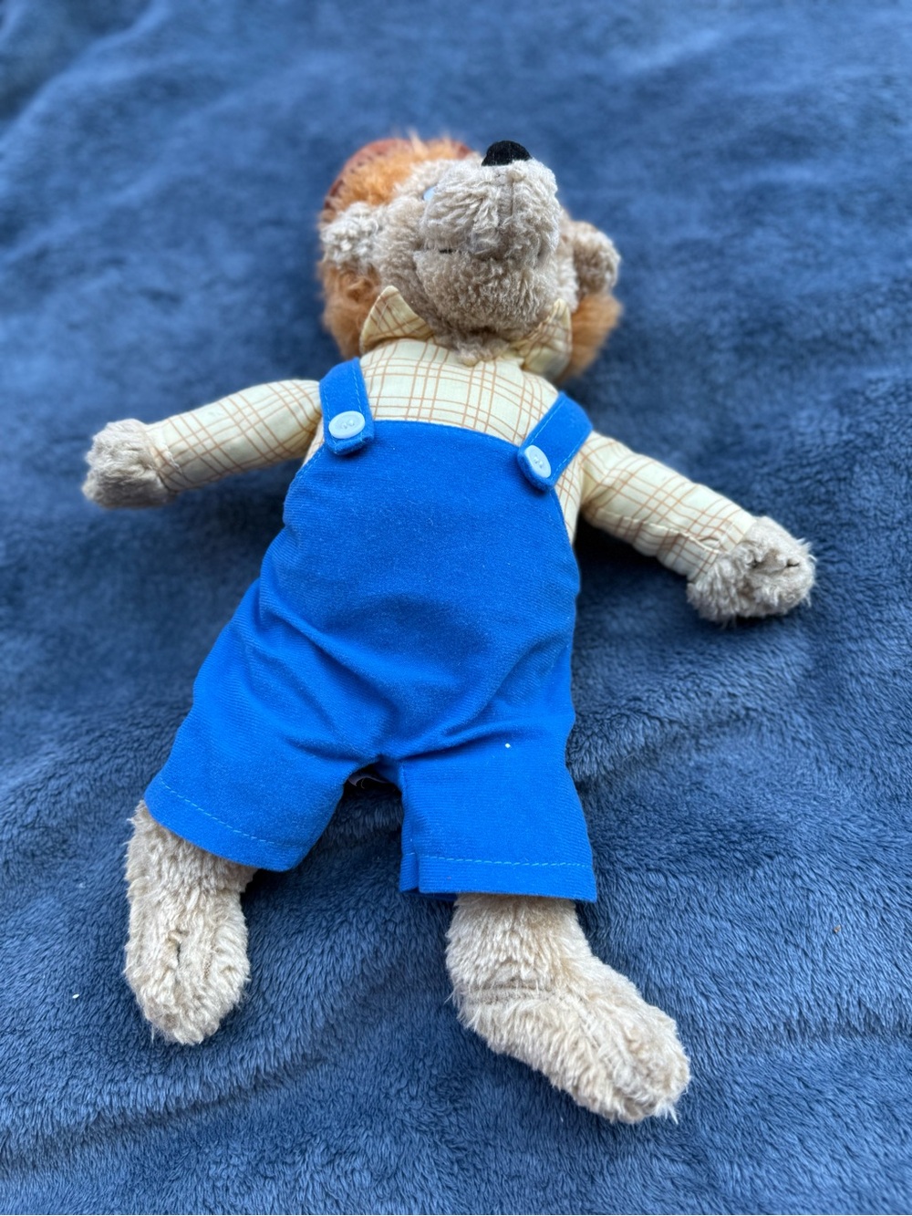 The Berenstain Bears Plus Father